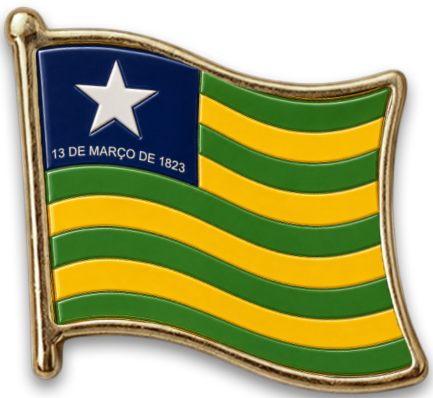 Pin Piauí