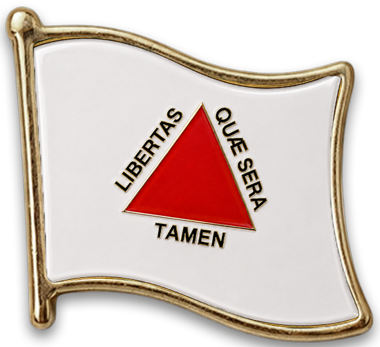Pin Minas Gerais