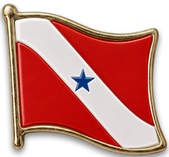 Pin Pará