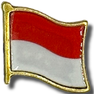Pin Indonésia
