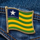 Tipo - Broche