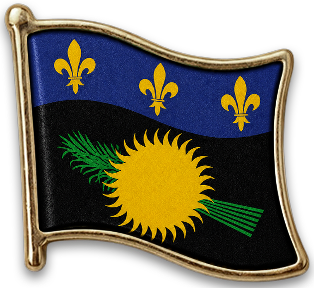 Pin Guadalupe