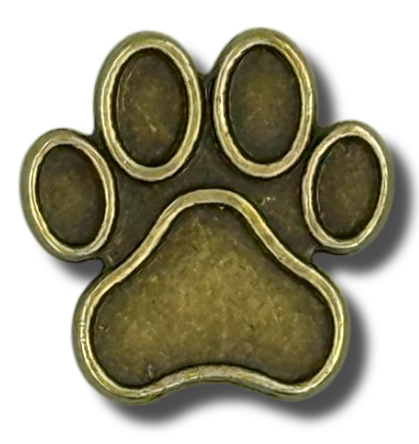 Pin Patinha