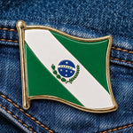 Pin Paraná - Broche