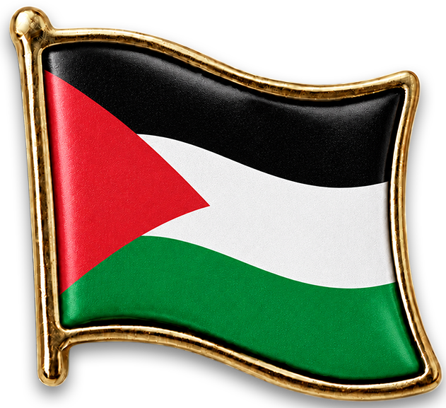Pin Palestina
