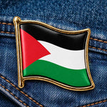 Pin Palestina - Broche