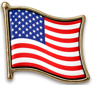 Pin Estados Unidos