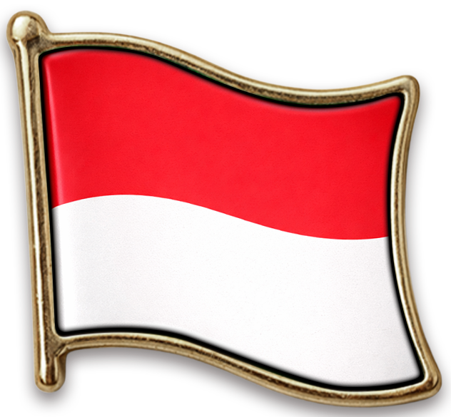 Pin Indonésia
