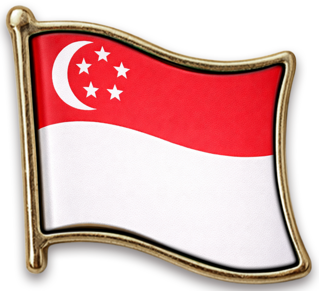 Pin Singapura