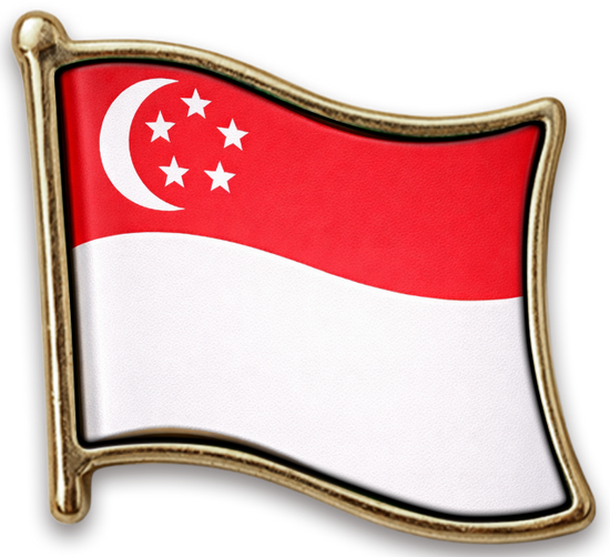 Pin Singapura