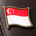 Pin Singapura - Pin