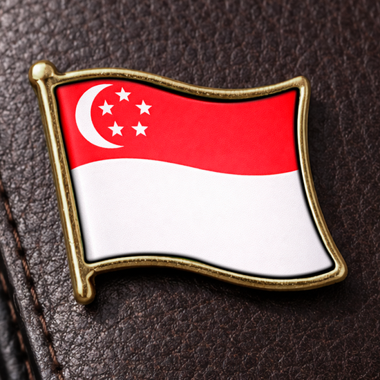Pin Singapura