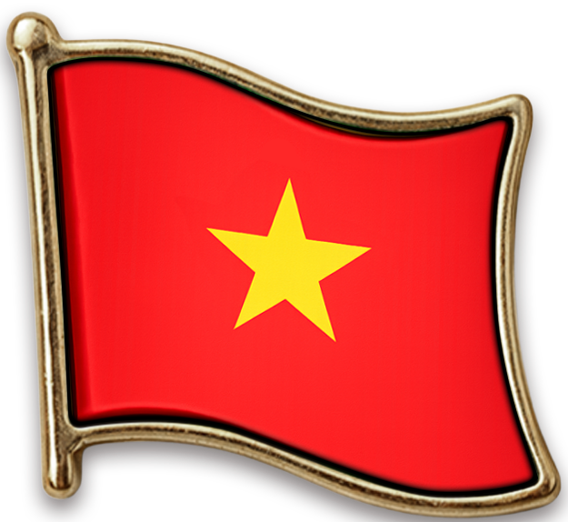 Pin Vietnã