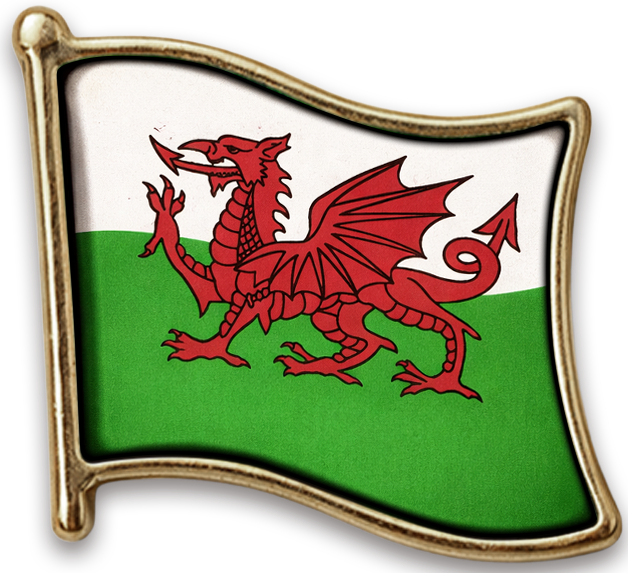 Pin País de Gales