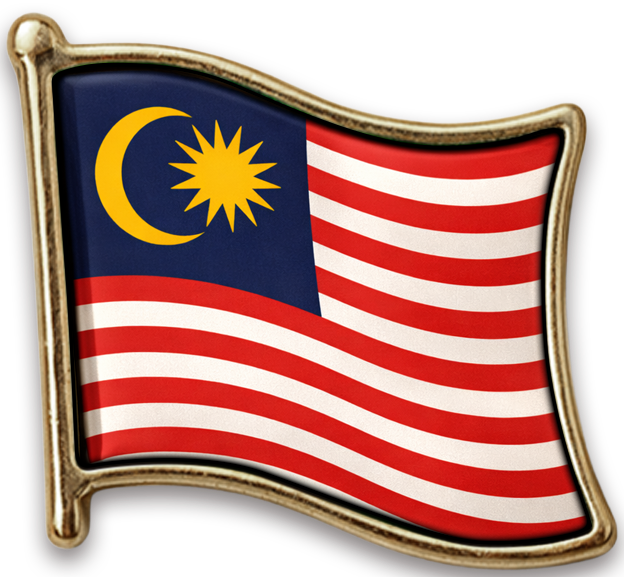 Pin Malásia
