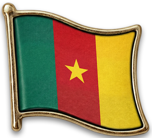 Pin Camarões
